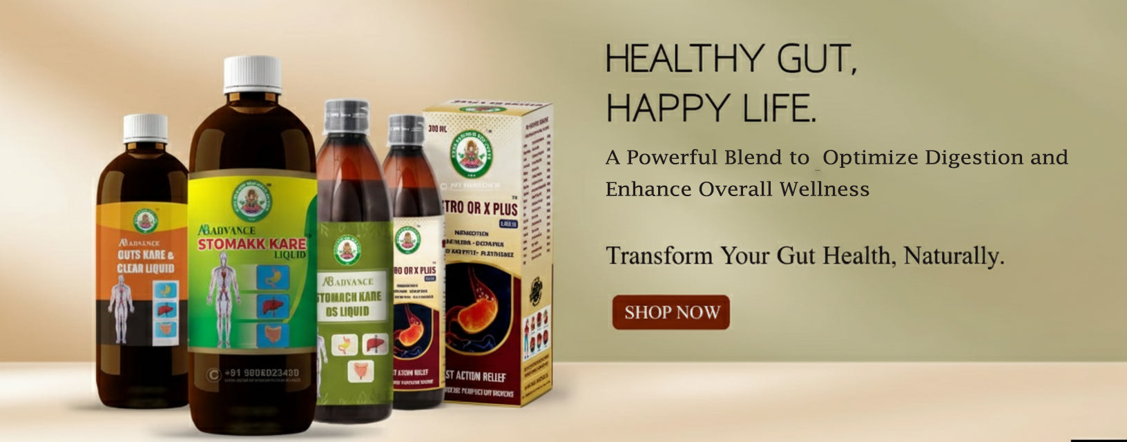 Ayur Brahma Wellness 